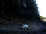 Subaru Impreza WRC 2002 года